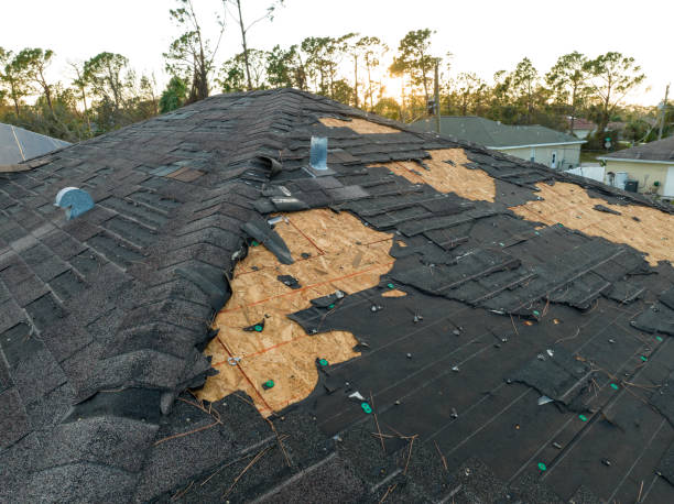 Best Skylight Installation and Repair  in Fairhope, PA